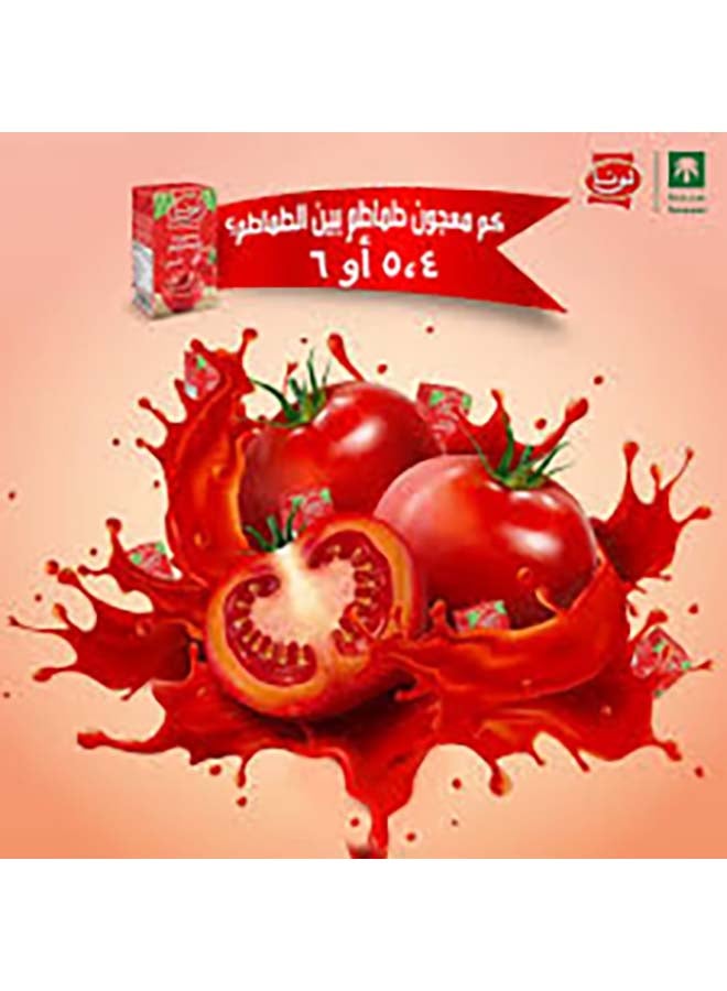 لونا - صلصة معجون الطماطم عبوة من 8 قطع - Image 1