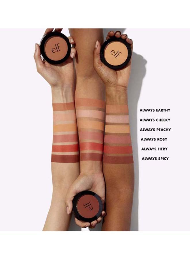 e.l.f. Primer-Infused Blush Always Cheeky  - Image 3