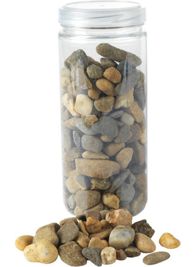 Decorative Stones Natural 1 Lb Multicolour