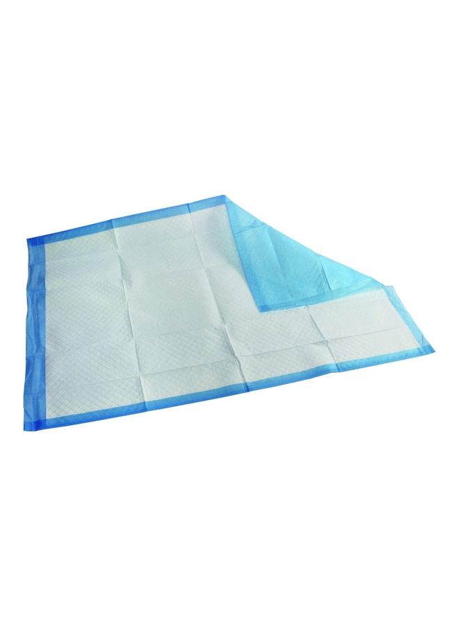 Cherry Medical Supply Pack Of 10 Pieces Disposable Underpads 60x90 Cm - Image 2