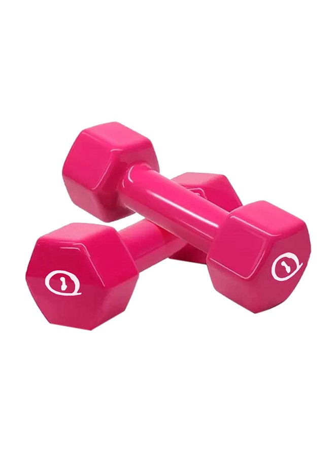 Sparnod Fitness Sparnod Fitness SDV-1_PAIR Anti-Slip And Anti-Roll HEX Vinyl Dumbbells For Workout, Exercise & Fitness 2x1kg  - Image 1