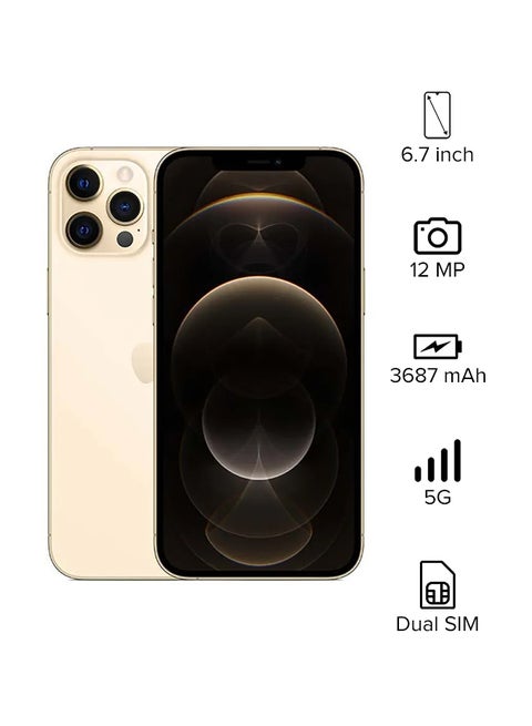 iPhone 12 Pro Max With Facetime Dual Sim 256GB Gold 5G - HK Specs