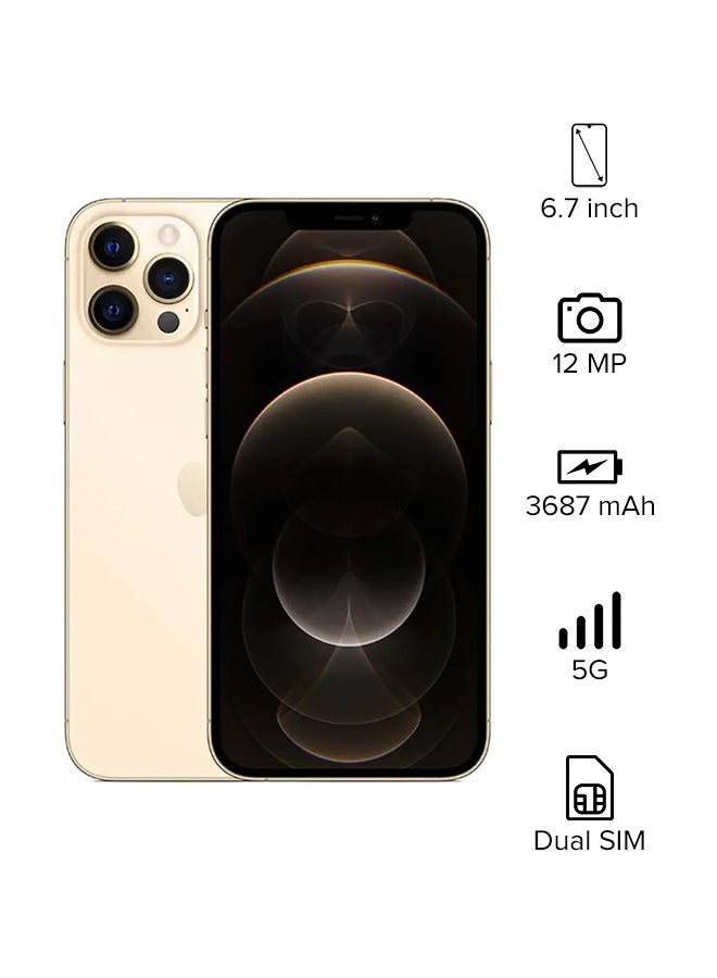 Apple - iPhone 12 Pro Max With Facetime Dual Sim 256GB Gold 5G - HK Specs - Image 1