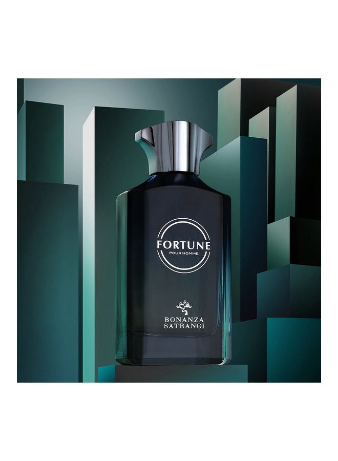 Bonanza Satrangi Fortune EDP 100ml - Image 3