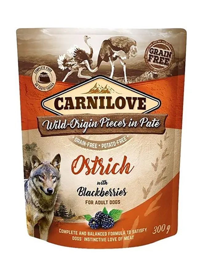 CARNILOVE Ostrich With Blackberries For Adult Dogs Brown 300grams 