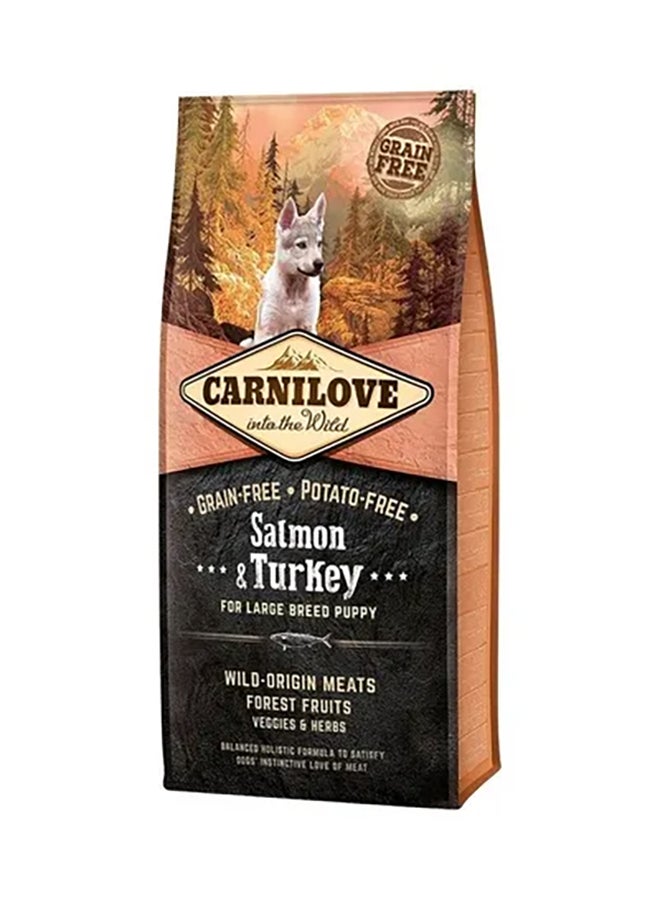 CARNILOVE Salmon And Turkey For Large Breed Puppies Brown 12kg 