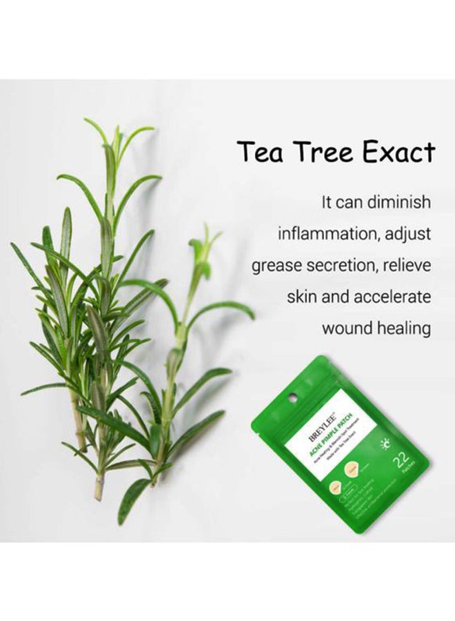 Breylee - Acne Pimple Patch Acne Healing and Blemish Spot Treatment Clear - Image 1