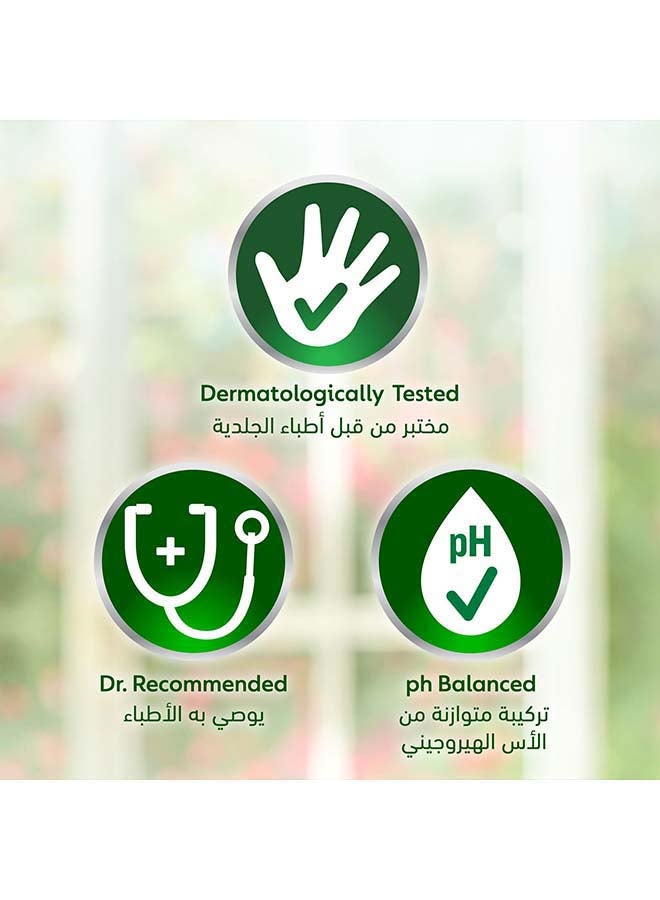 ديتول - غسول يدين سائل الأصلي مضاد للبكتيريا - Image 1