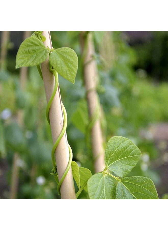 LINGWEI 5-Piece Bamboo Pole For Plants Support Beige 60x2.5x2.5cm  - Image 5