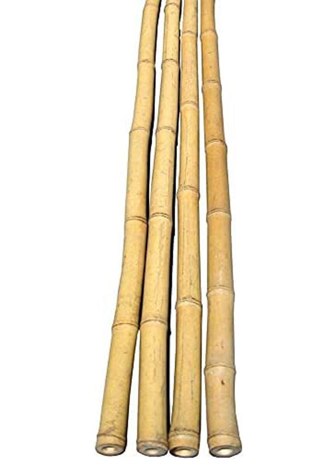 LINGWEI 10-Piece Bamboo Pole For Plants Support Beige 60x2.5x2.5cm  - Image 3