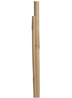 LINGWEI 10-Piece Bamboo Pole For Plants Support Beige 60x2.5x2.5cm  - Image 4
