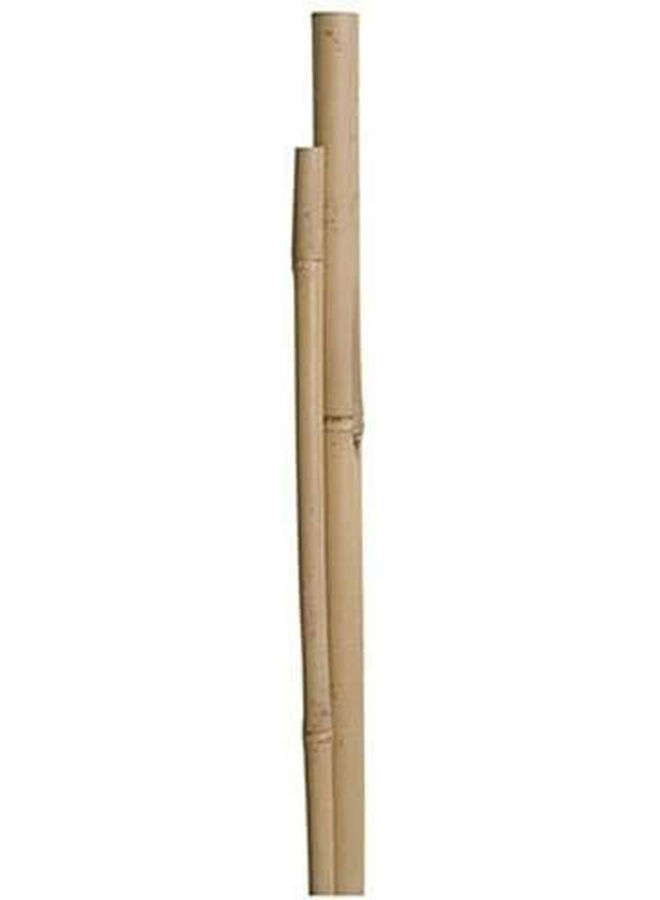 LINGWEI 10-Piece Bamboo Pole For Plants Support Beige 60x2.5x2.5cm  - Image 4