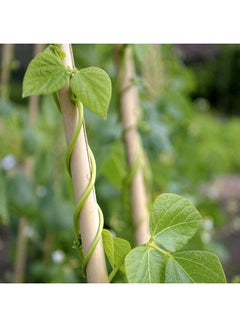 LINGWEI 10-Piece Bamboo Pole For Plants Support Beige 60x2.5x2.5cm  - Image 5