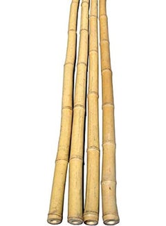 LINGWEI 10-Piece Bamboo Pole For Plants Support Beige 100x2.5x2.5cm  - Image 3