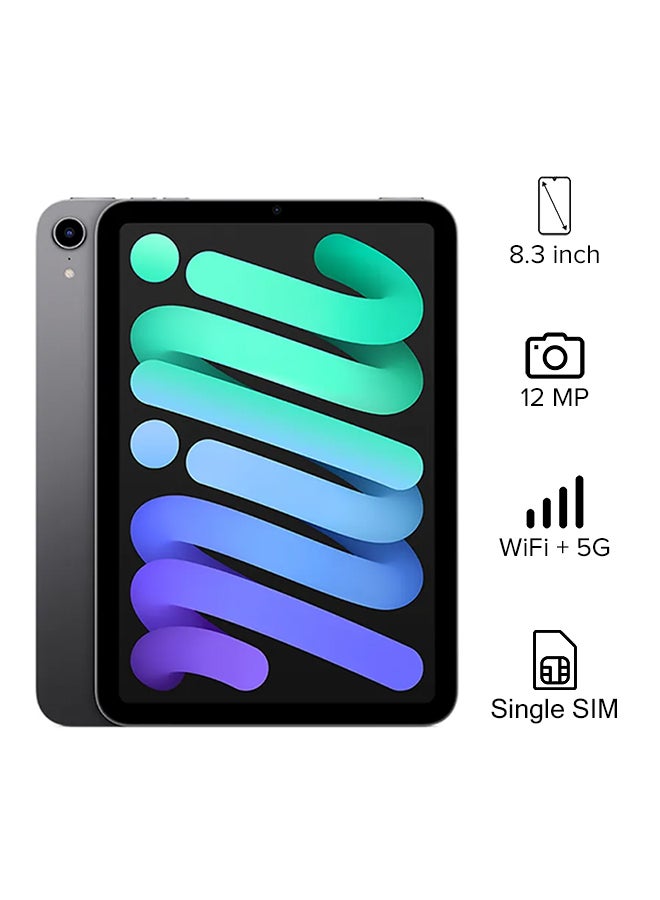 Apple iPad Mini 2021 (6th Generation) 8.3inch, 64GB, WiFi, 5G, Space Gray with Facetime - International version