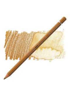 Albrecht Dürer Watercolour Pencil Brown
