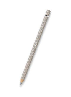 Albrecht Dürer Watercolour Pencil Silver
