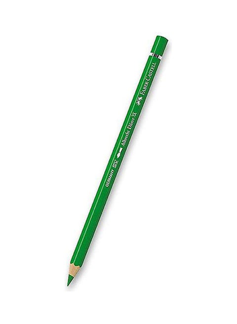 Albrecht Dürer Coloring Pencil Green - Green