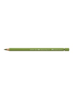 Watercolour Pencil Albrecht Dürer Earth Green