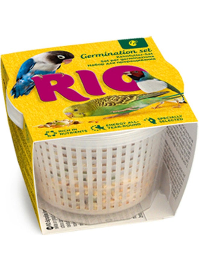 RIO - Germination Set Brown 25grams - Image 1