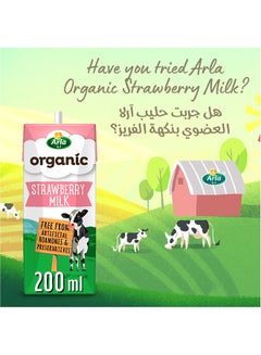 Organic Milk Chocolate 200ml Pack of 6 - v1639475369/N35007447A_7