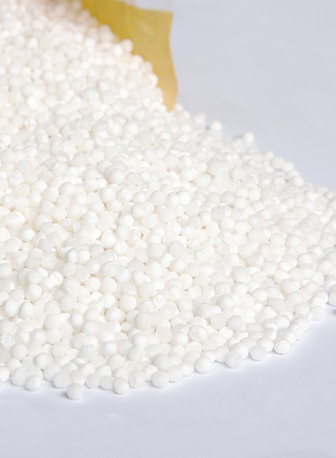 Madhoor - Sabudana Large 500grams - Image 1