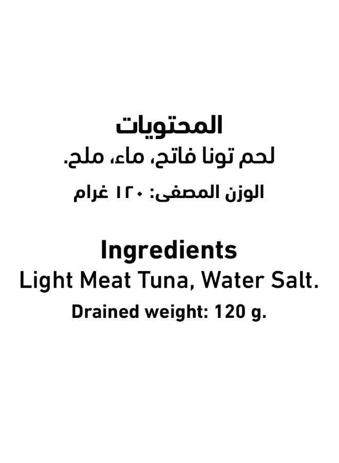 Al Alali Yellowfin Tuna In Water 170grams  - Image 4