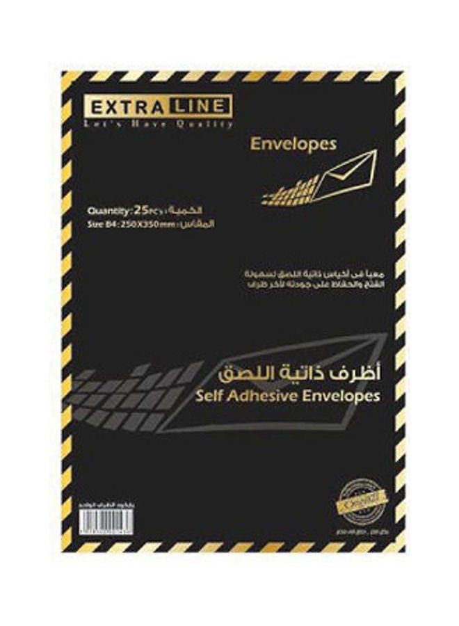 EXTRA LINE Extraline Envelope self-adhesive 100 gm 25 × 35 cm  fc White 