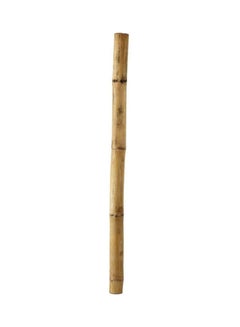 LINGWEI 10-Piece Bamboo Pole For Plants Support Beige 100x2.5x2.5cm  - Image 1