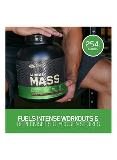 Optimum Nutrition Serious Mass Weight Gain Protein Powder Chocolate 6lb  - Image 5