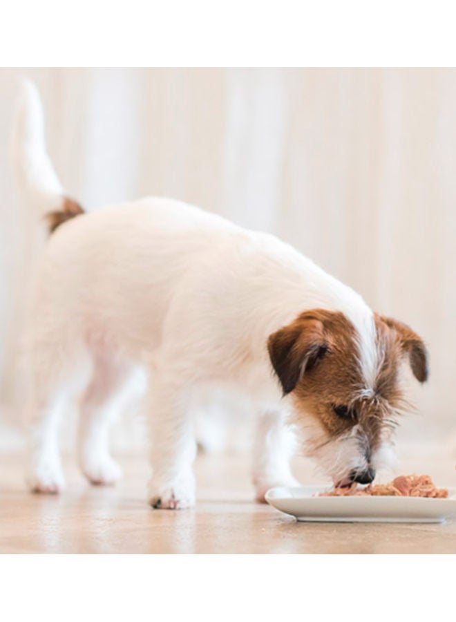 Schesir Puppy Chicken with Aloe Can Multicolour 150grams - Image 3