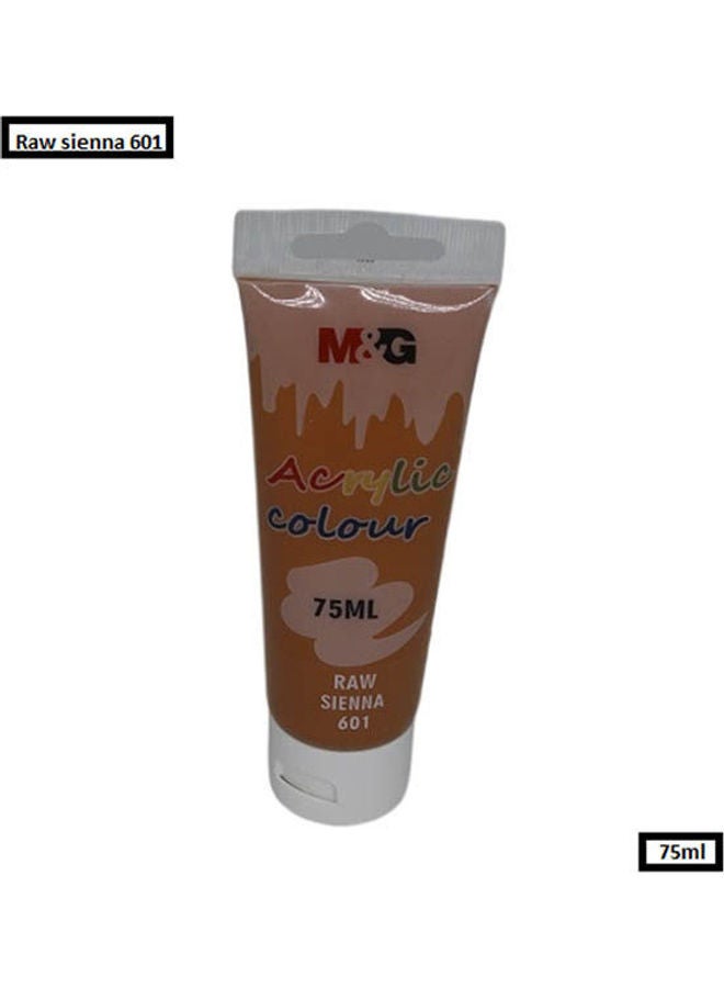 M&G Acrylic Colour Tube Raw Sienna 