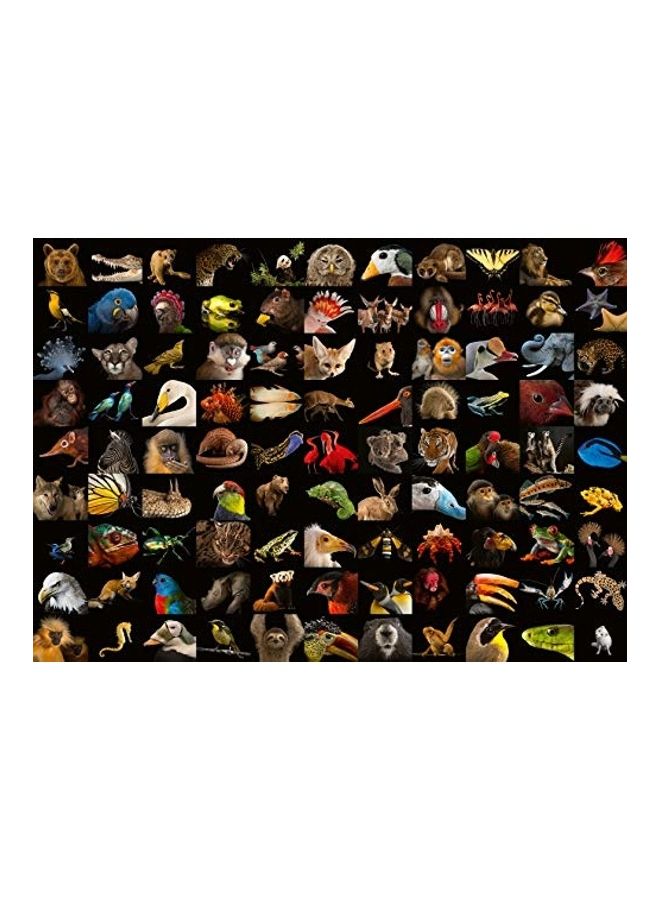 Ravensburger - 1000-Piece National Geographic Photo Ark: Amazing Animals Jigsaw Puzzle Set - Image 1