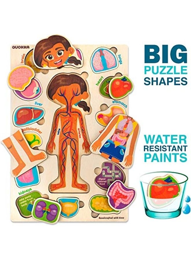 كوكا مجموعة مكونة من أحجيتين قطع تركيب تعليمية خشبية للأطفال لتعلم تشريح جسم الإنسان - Image 3