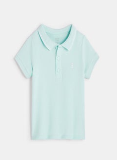 Aqua Green