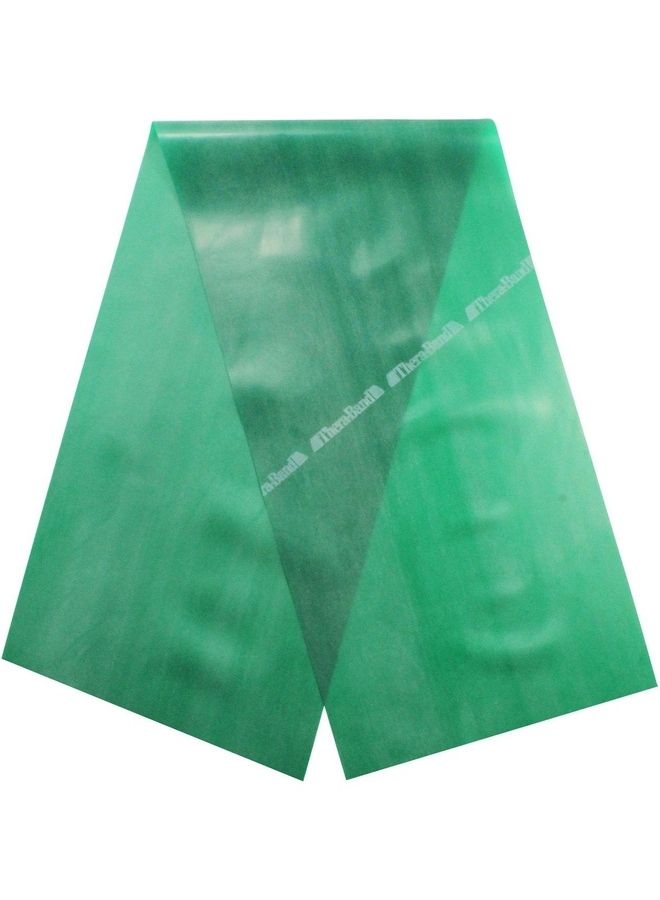 TheraBand Exercise Resistance Band 5inch - Image 1