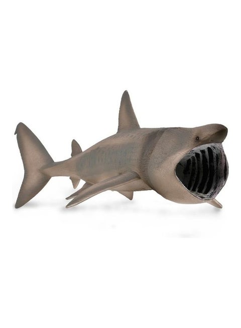 Figures Statue Basking Shark