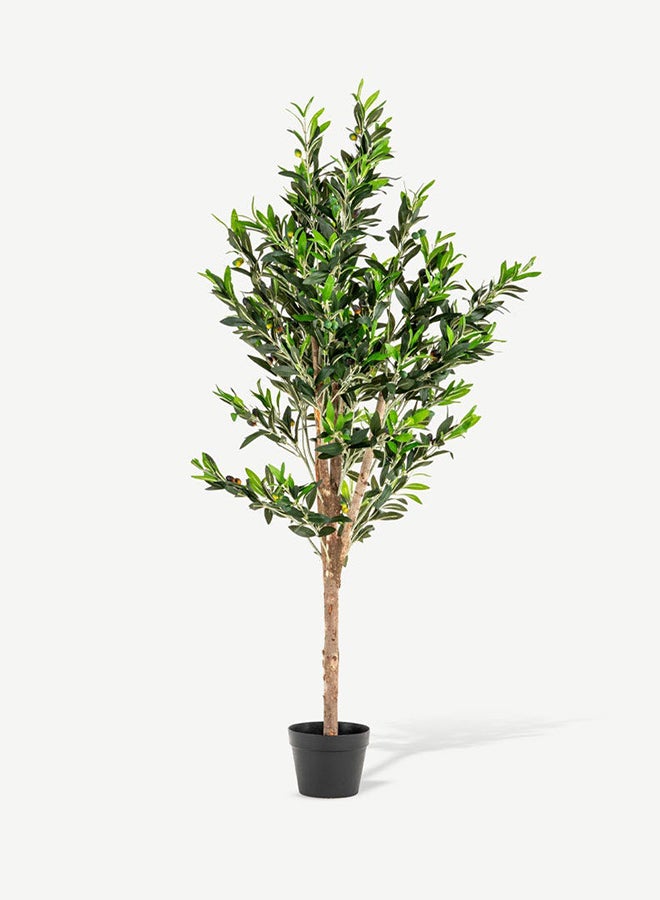 OC HOME Tree With Pot Green 148x55cm - Image 1