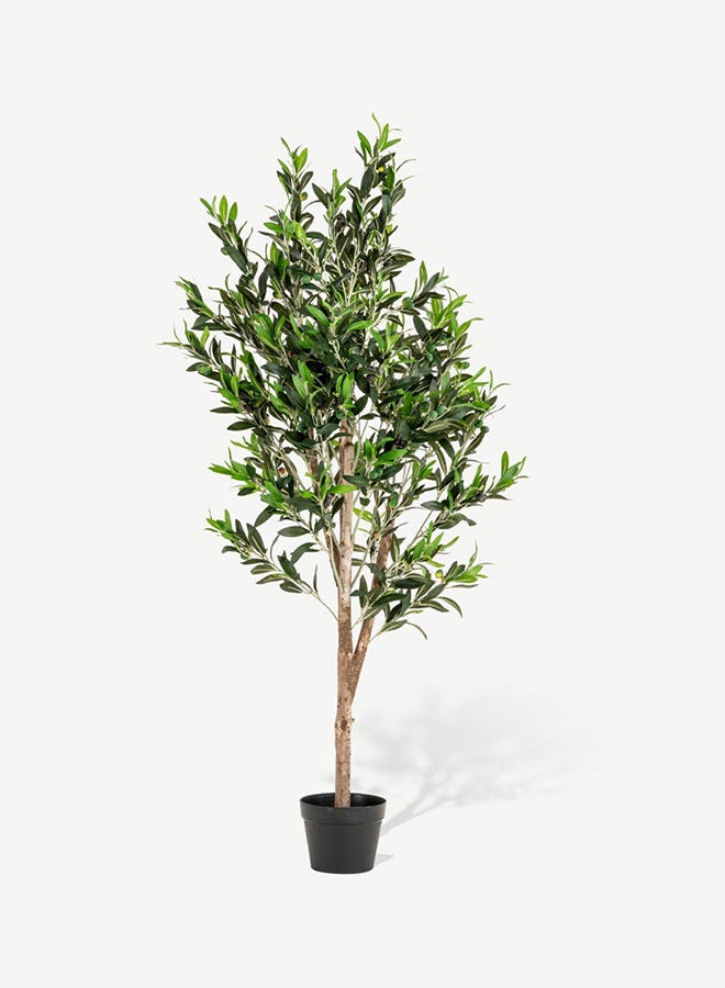 OC HOME Tree With Pot Green 148x55cm - Image 2