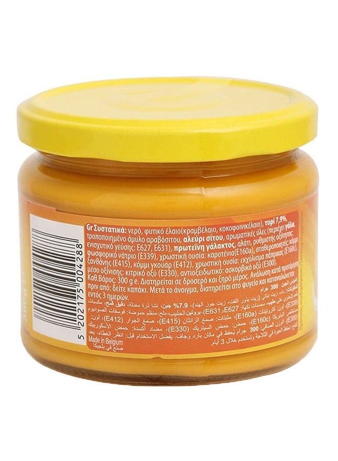 El Sabor Cheese Dip 300grams - Image 2