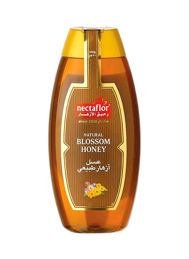 Nectaflor Natural Blossom Bee Honey Squeeze 500grams  - Image 1