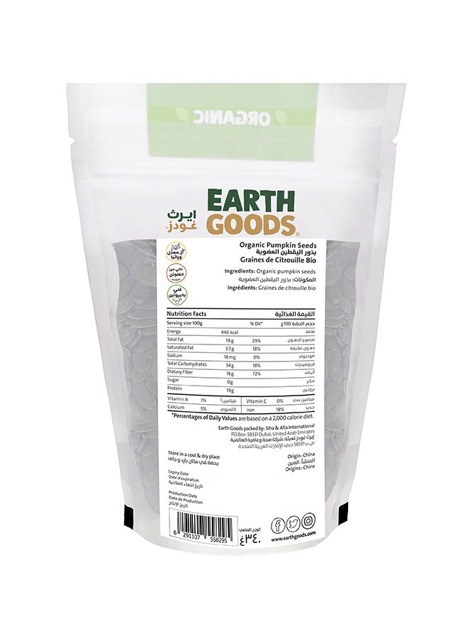 إيرث جودز بذور اليقطين العضوية عالية البروتين وخالية من الغلوتين 340جرام - Image 2