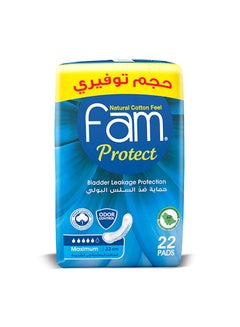Protect Sanitary Napkin 22 Pads