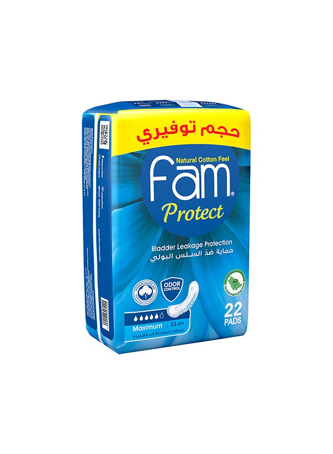 Fam - Protect Sanitary Napkin 22 Pads - Image 1