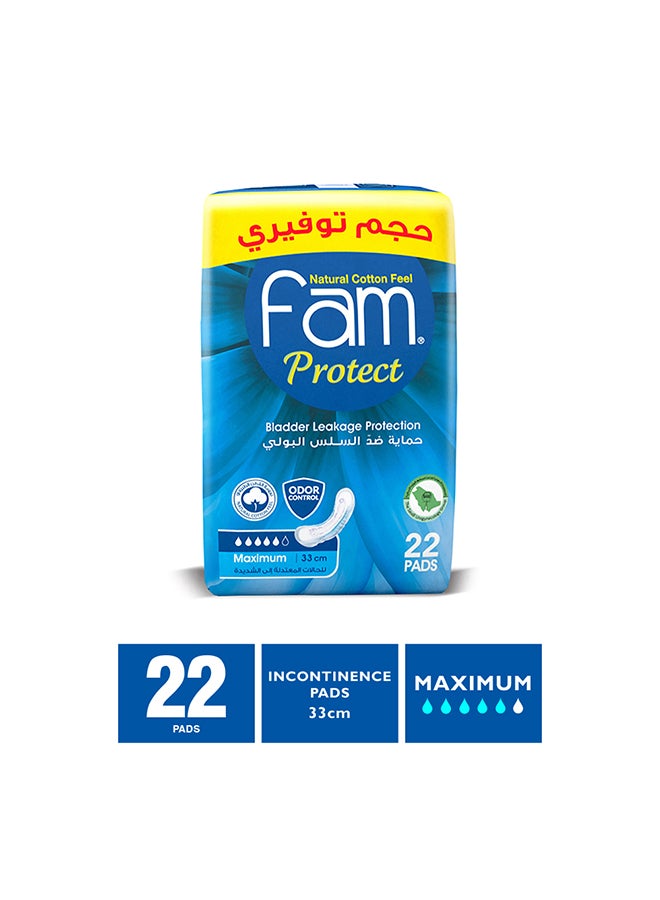Fam - Protect Sanitary Napkin 22 Pads - Image 1