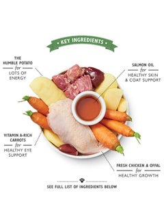 Lily's Chicken Puppy Recipe Multicolour 400grams  - Image 2