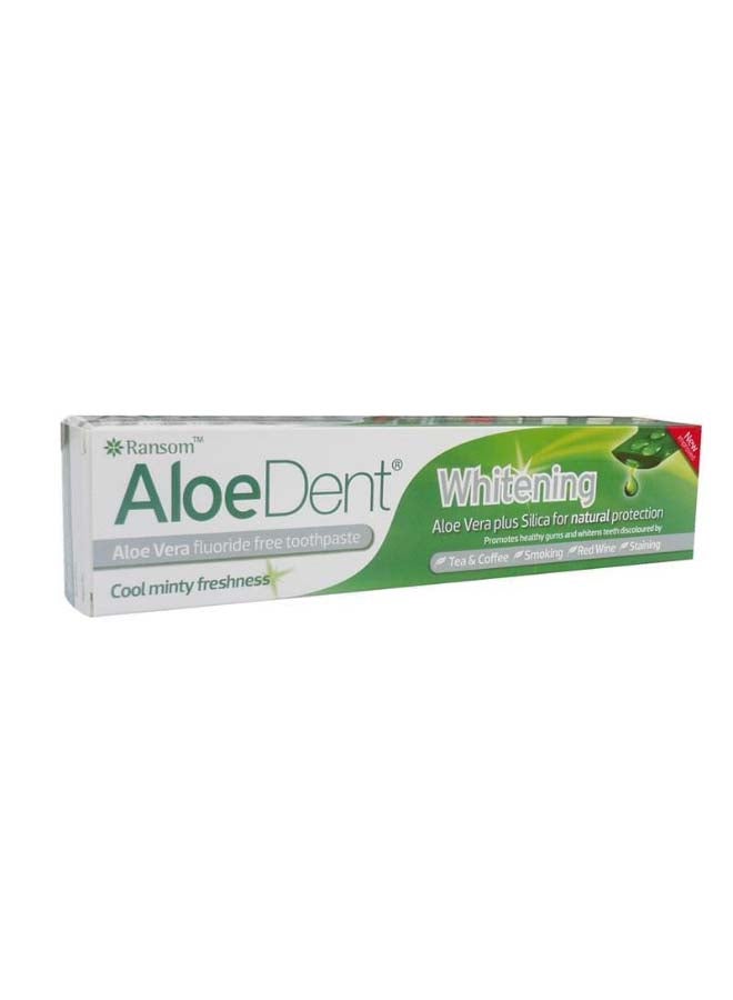AloeDent - Aloe Vera Fluoride free Whitening Toothpaste - Image 1