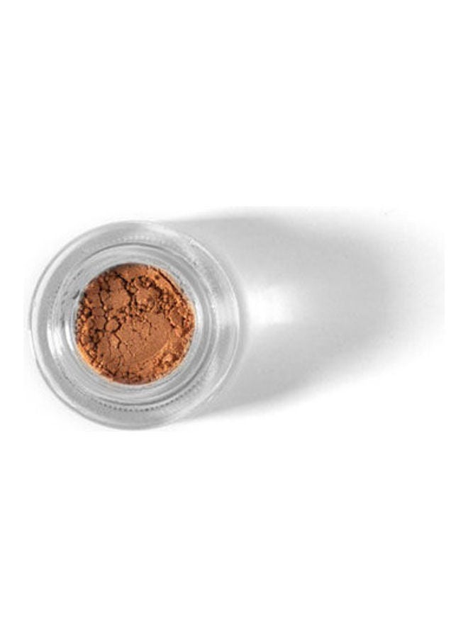 Eye Shadow Spiced Glam - v1641815263/N52384964A_1