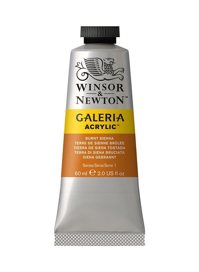 WINSOR & NEWTON Galeria Acrylic Paint Burnt Sienna 