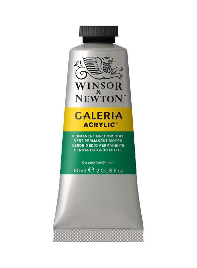 WINSOR & NEWTON Galeria Acrylic Paint Green 